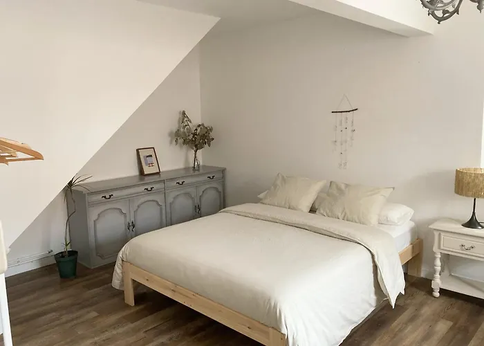 En Casa Oliveros, Razo